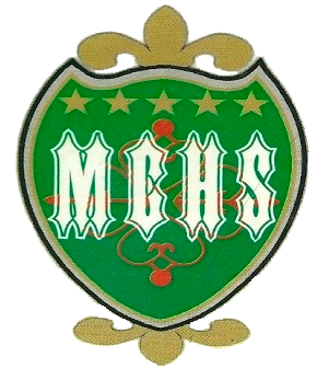 Logo MCHS