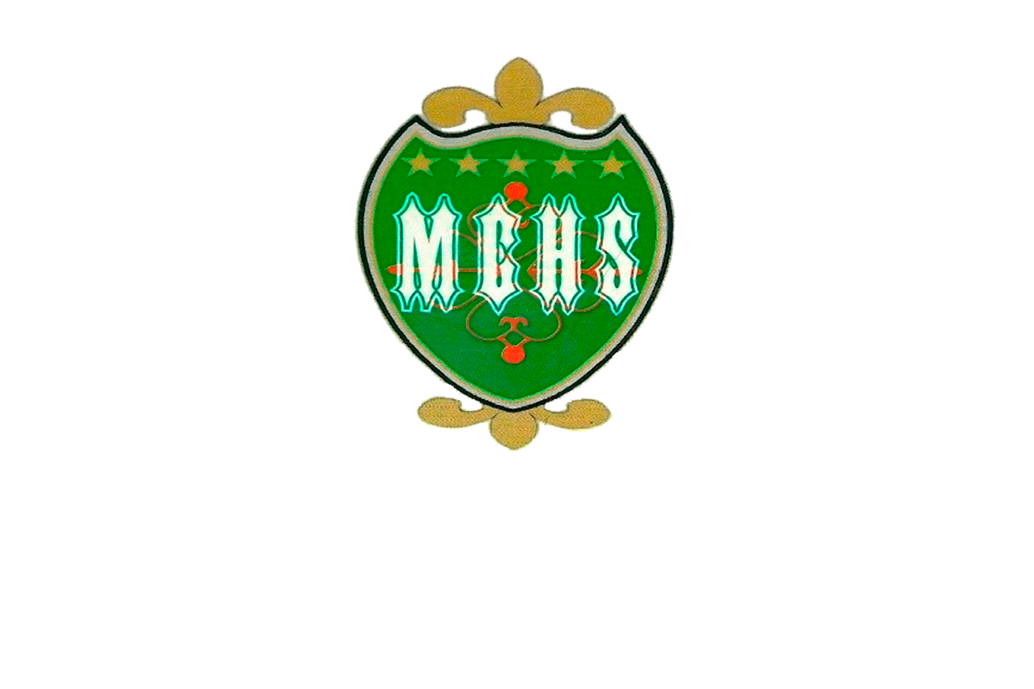 Logo MCHS